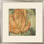 Ethereal Tulips Ii by Jennifer Goldberger Limited Edition Print