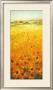 Field With Sunflowers by Ken Hildrew Limited Edition Pricing Art Print