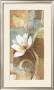 Gentle Tulips Ii by Albena Hristova Limited Edition Pricing Art Print
