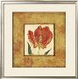 Les Tulipes Ii by Eleanor Rahim Limited Edition Print