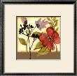 Garden Sophistication Ii by Jennifer Goldberger Limited Edition Pricing Art Print