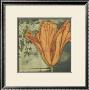Ethereal Tulips Iii by Jennifer Goldberger Limited Edition Print