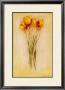 Yellow Tulips by Lewman Zaid Limited Edition Pricing Art Print