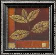 Crimson Leaf Study Ii by Ursula Salemink-Roos Limited Edition Print