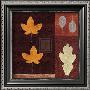 Amber Leaves I by Max Carter Limited Edition Pricing Art Print