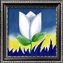 White Tulip Supreme by Alfred Gockel Limited Edition Print