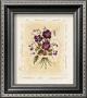 Floral Violet by Constance Lael Limited Edition Pricing Art Print