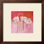 Fleurs En Rose Ii by Isabelle Herbert Limited Edition Print