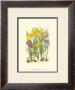 Summer Garden Iii by Anne Pratt Limited Edition Pricing Art Print