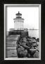 Bug Light, Portland by Laura Denardo Limited Edition Print