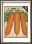 Heirloom Variety Ii by Jarman Fagalde Limited Edition Pricing Art Print