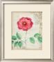 Garden Gem by Sapna Limited Edition Print