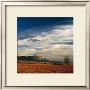 Spanish Landscape Ii by Bill Philip Limited Edition Print