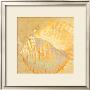 Shoreline Shells Iv by Lorraine Vail Limited Edition Pricing Art Print