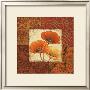 Poppy Spices I by Daphne Brissonnet Limited Edition Print
