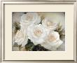 White Roses by Igor Levashov Limited Edition Pricing Art Print