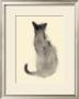Cat From The Back by Aurore De La Morinrie Limited Edition Pricing Art Print