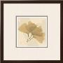 Color Me Ginko Natural I by Albert Koetsier Limited Edition Print