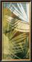 Palm Frond Ii by James Burghardt Limited Edition Pricing Art Print