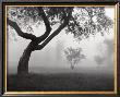 Into The Mist by Monte Nagler Limited Edition Print