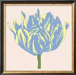 Soho Tulip I by Zachary Alexander Limited Edition Print