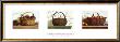 Still Life Trilogy by Pauline Eble Campanelli Limited Edition Print