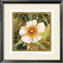White Magnolia Ii by Danson Limited Edition Pricing Art Print