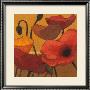 Poppy Curry Ii by Shirley Novak Limited Edition Pricing Art Print
