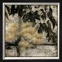 Nature's Breath Ii by Jennifer Goldberger Limited Edition Print