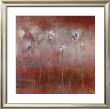 Highlight I by Roan Limited Edition Print