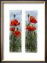 Double Poppies by Franz Heigl Limited Edition Pricing Art Print