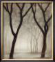 Forest Iv by Hess Limited Edition Print