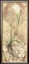 Tuscan Calla Lily by Deborah K. Ellis Limited Edition Pricing Art Print