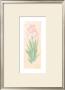 Iris Soliloquy I by Nancy Kaestner Limited Edition Pricing Art Print