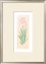 Iris Soliloquy I by Nancy Kaestner Limited Edition Print