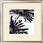 Contrasting Floral Ii by Jean-Francois Dupuis Limited Edition Pricing Art Print