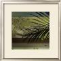 Palm And Stripes Ii by Patricia Quintero-Pinto Limited Edition Print