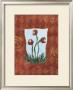 Poppies by Flavia Weedn Limited Edition Print
