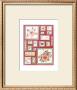 Roses by Alie Kruse-Kolk Limited Edition Print