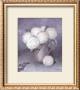 Tender Hydrangea Ii by Horst Jonas Limited Edition Print