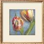 Parrot Tulips I by Sally Wetherby Limited Edition Print