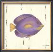 Tropical Fish: Tang by Grace Pullen Limited Edition Pricing Art Print