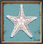 Distressed Seashells: Starfish I by Melody Hogan Limited Edition Print