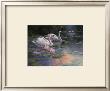 Swans And Waterfall by T. C. Chiu Limited Edition Pricing Art Print