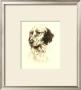 Setter by Danchin Limited Edition Pricing Art Print