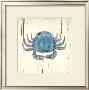 Blue Crab by Grace Pullen Limited Edition Pricing Art Print