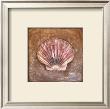 Sea Shell by T. C. Chiu Limited Edition Pricing Art Print