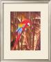 Polly by Linda Amundsen Limited Edition Print