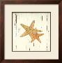 Starfish I by Grace Pullen Limited Edition Pricing Art Print