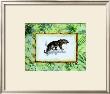 Jungle Jaguar by Marie Frederique Limited Edition Print